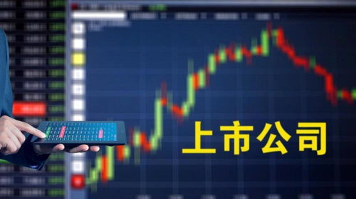 4個(gè)月里第3次披露增持計(jì)劃，新海宜能否保殼成功？計(jì)算機(jī)技術(shù)開(kāi)發(fā)成關(guān)鍵